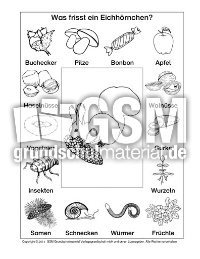 AB-Eichhörnchen-Nahrung-2-SW.pdf